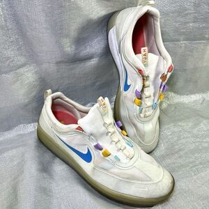 NIKE SB Nyjah Free 2 Summit White Icy Sole Men’s Size 10.5